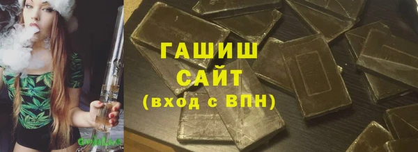 гидра Вязьма