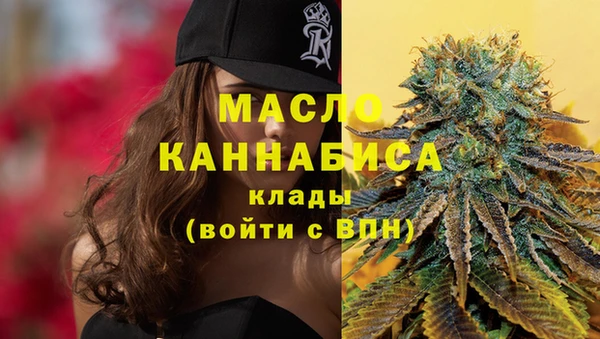 гидра Вязьма