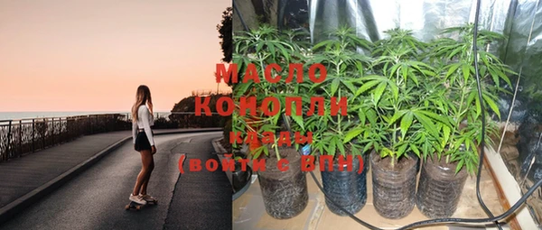 гидра Вязьма