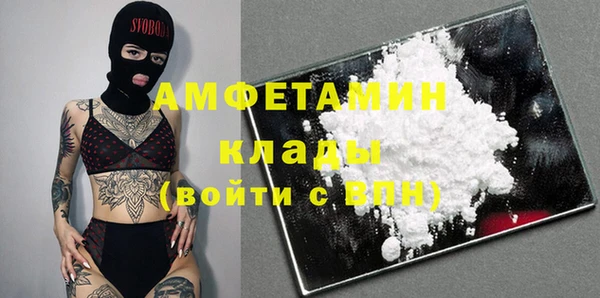 гидра Вязьма