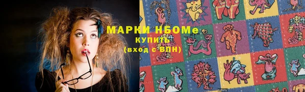 гидра Вязьма