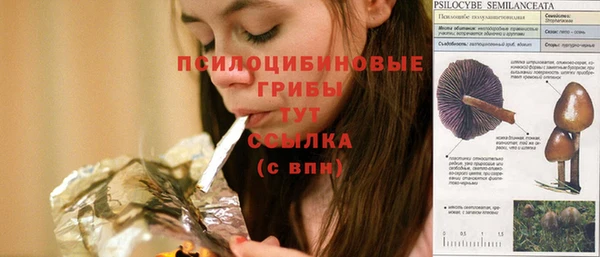ешки Вязники