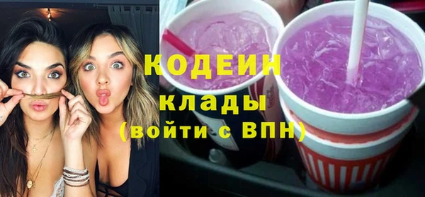 гидра Вязьма