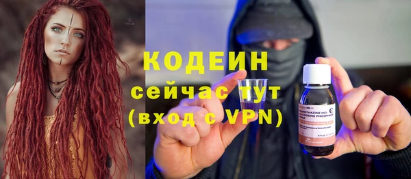 гидра Вязьма