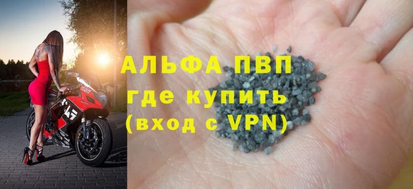 гидра Вязьма